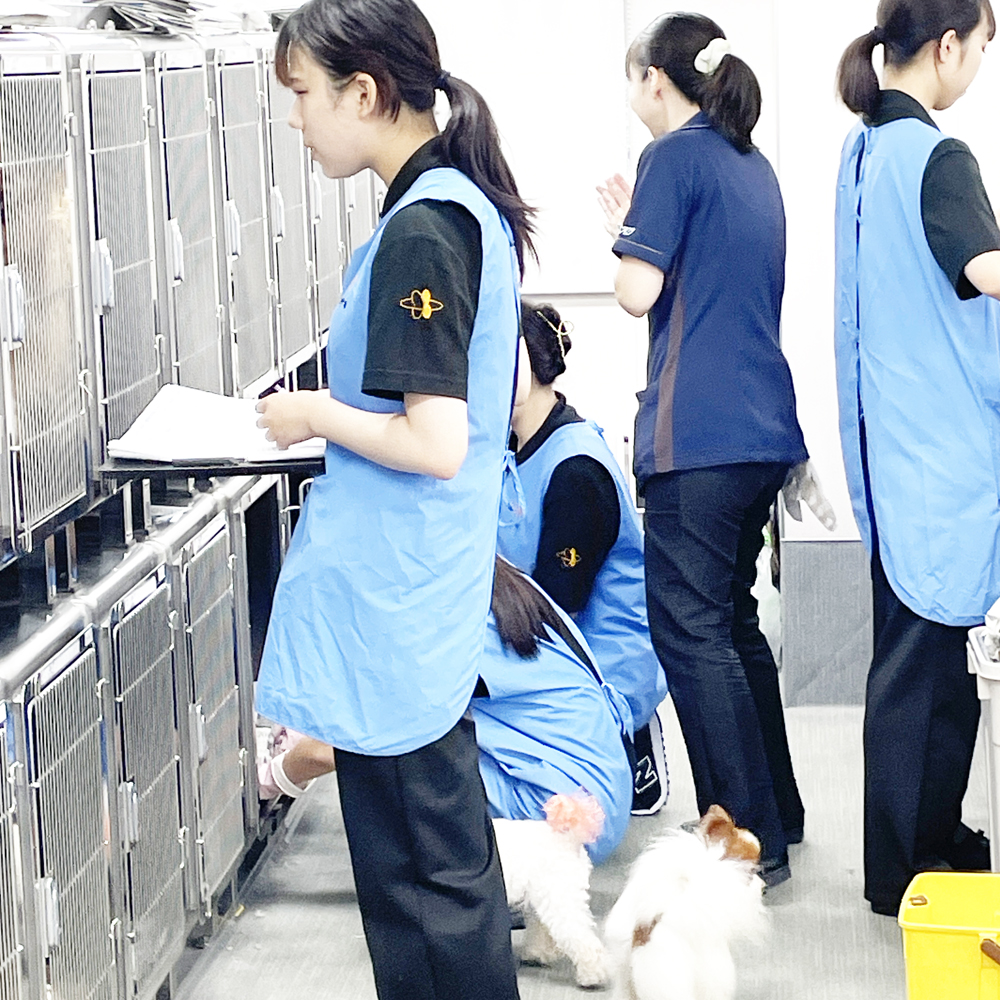モデル犬のお世話♪